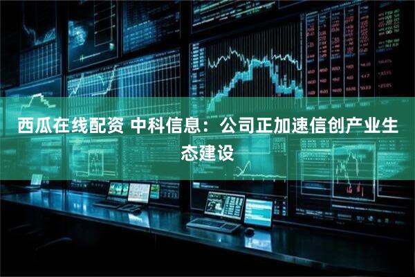 西瓜在线配资 中科信息：公司正加速信创产业生态建设